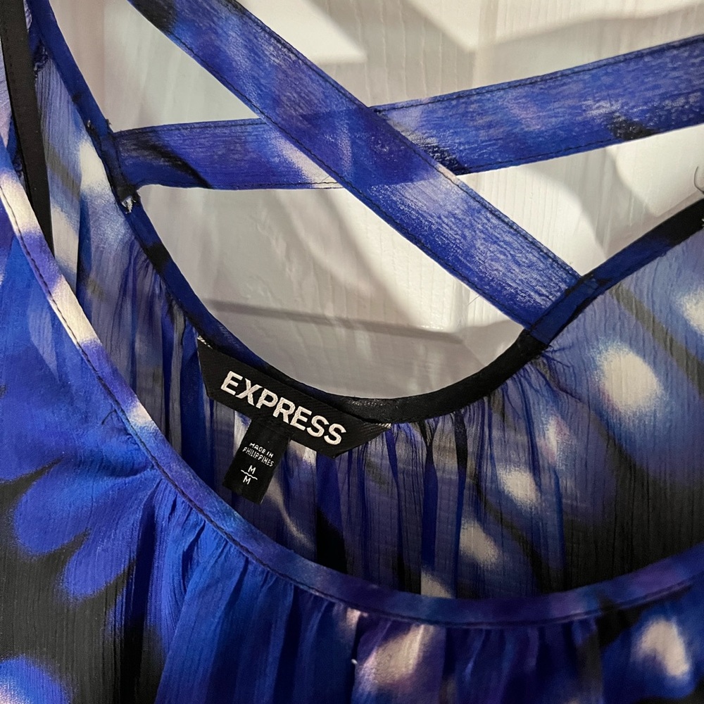 Express Dress - Picture 3 of 3